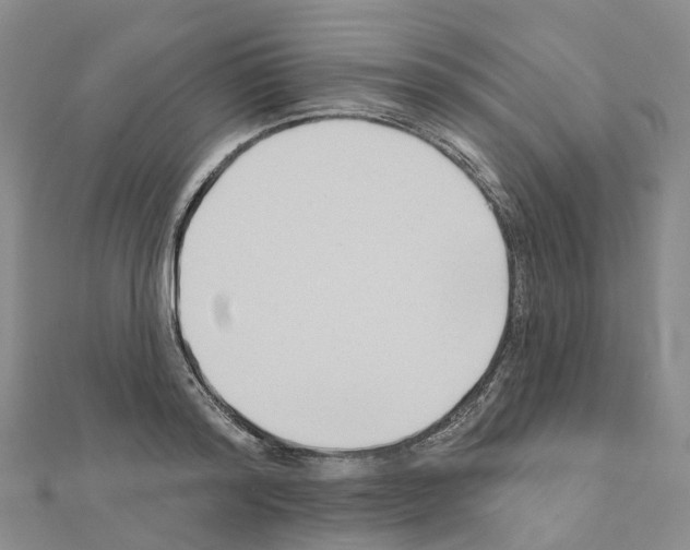 X0000111240796200908131143