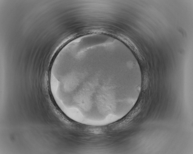 X0000111240798200908131143