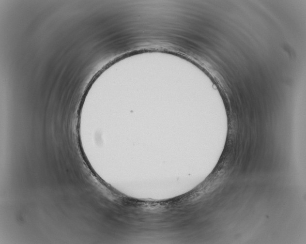 X0000111240799200908131143