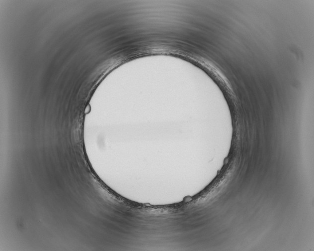 X0000111240801200908131143
