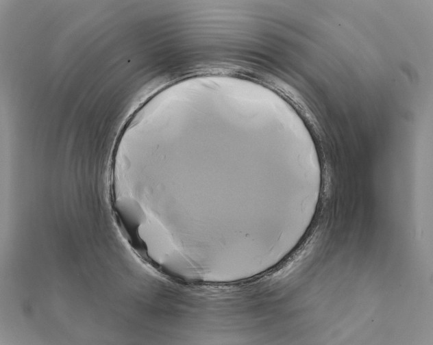 X0000111240802200908131143