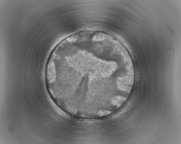 X0000111240803200908131143