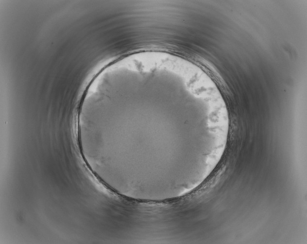 X0000111240804200908131143