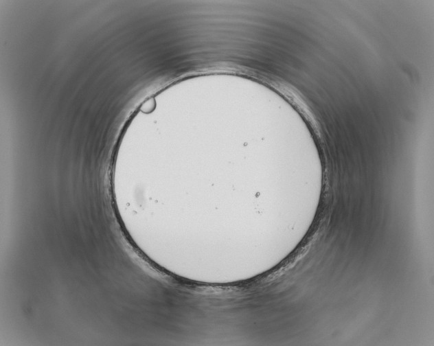 X0000111240805200908131143