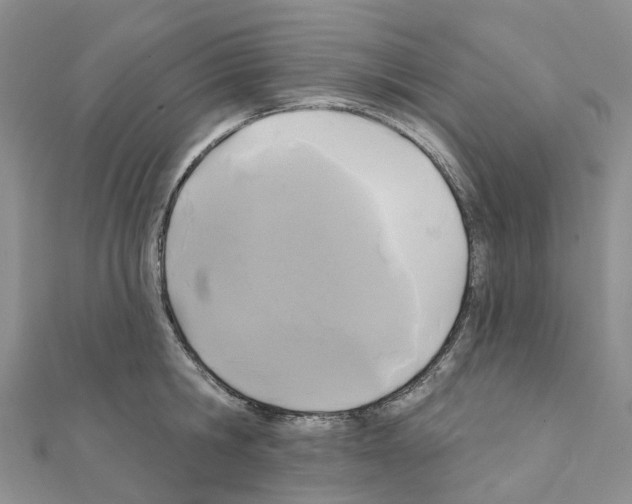 X0000111240806200908131143
