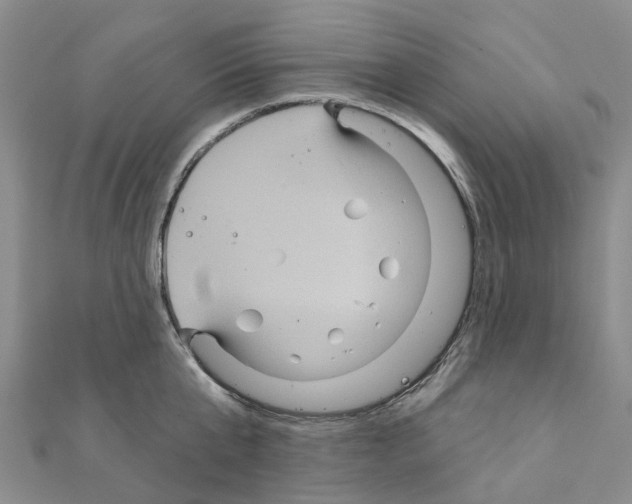 X0000111240807200908131143