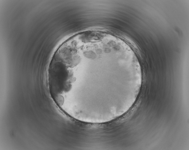 X0000111240808200908131143