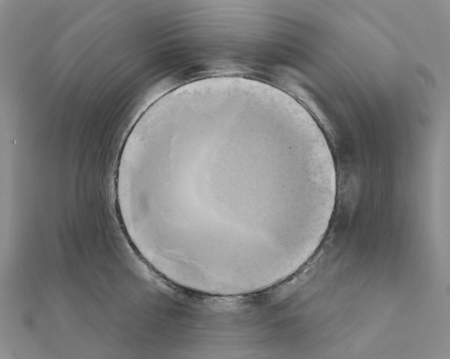 X0000111240810200908131143