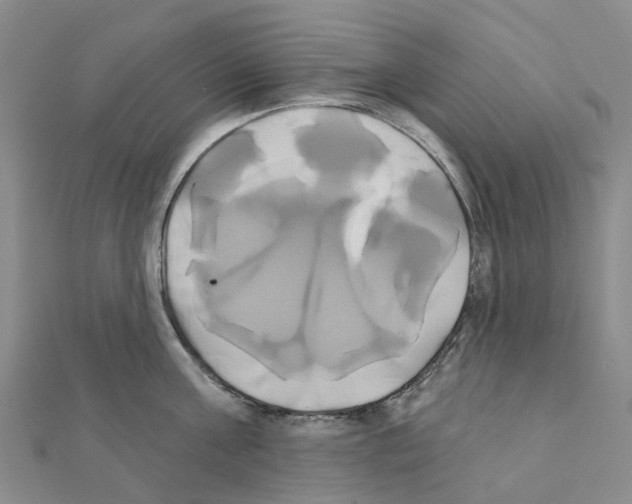 X0000111240811200908131143