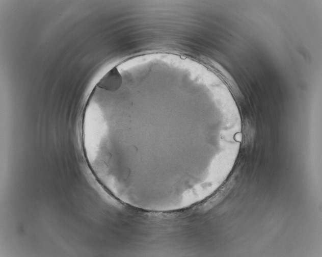 X0000111240812200908131143