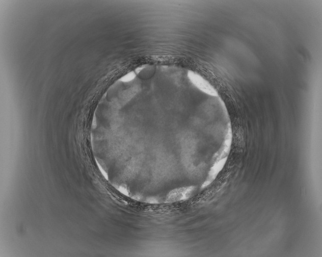 X0000111240817200908131142