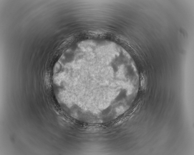 X0000111240819200908131142