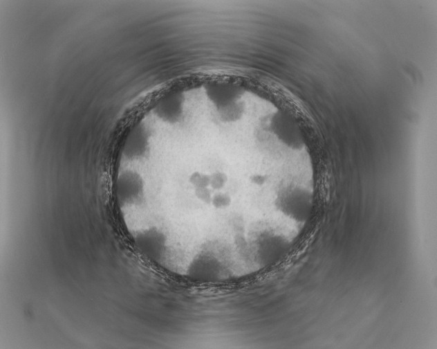 X0000111240821200908131142