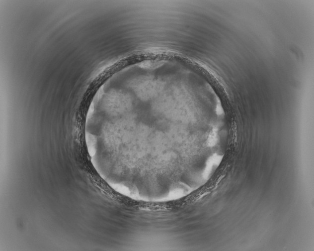 X0000111240823200908131142