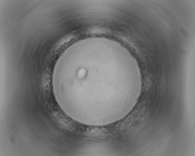 X0000111240824200908131142