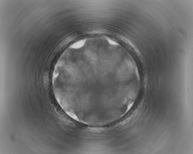 X0000111240825200908131142