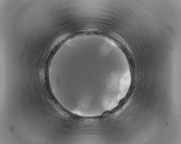 X0000111240826200908131142