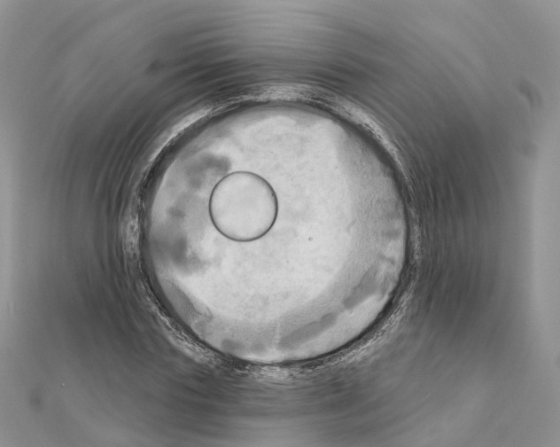 X0000111240827200908131142