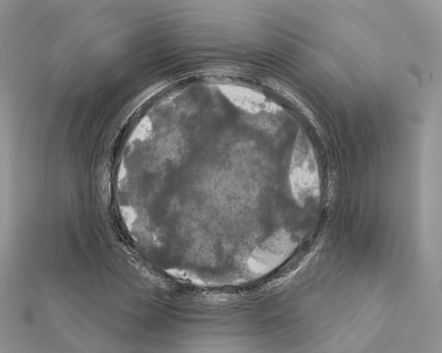 X0000111240829200908131142