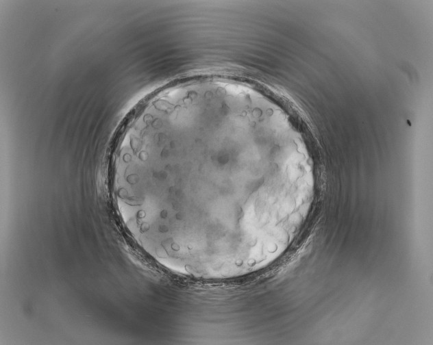 X0000111240830200908131142