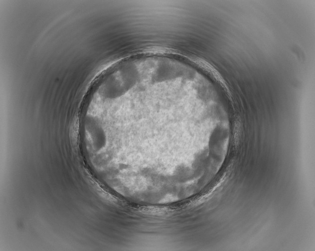 X0000111240831200908131142