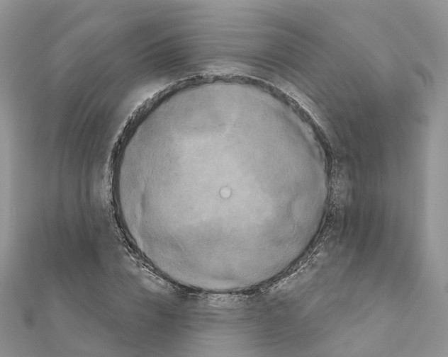 X0000111240832200908131142