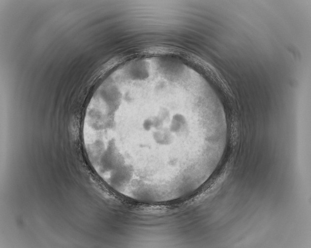 X0000111240833200908131143
