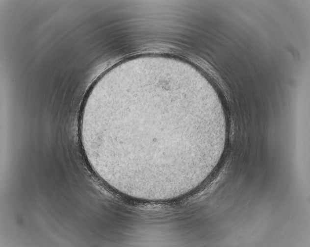 X0000111240834200908131143