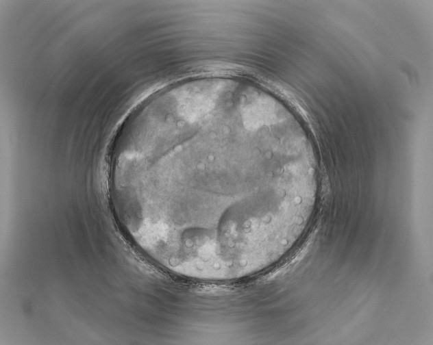 X0000111240835200908131143