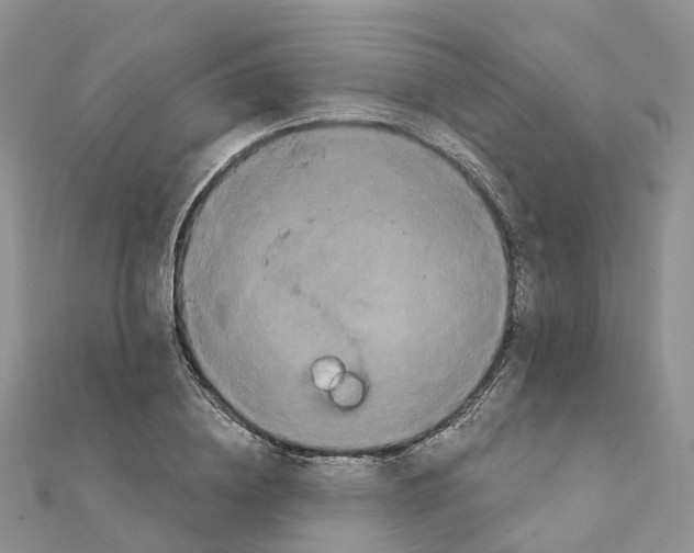 X0000111240836200908131143