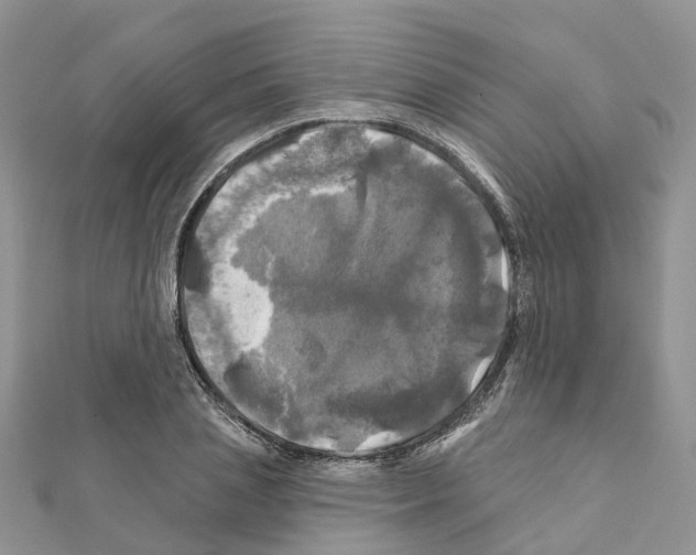 X0000111240837200908131143