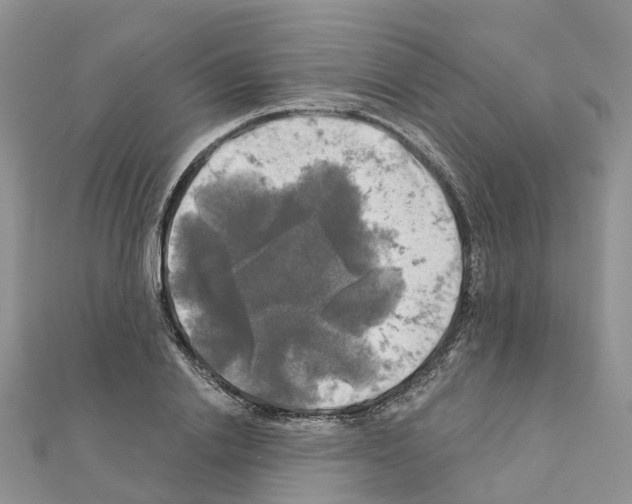 X0000111240838200908131143