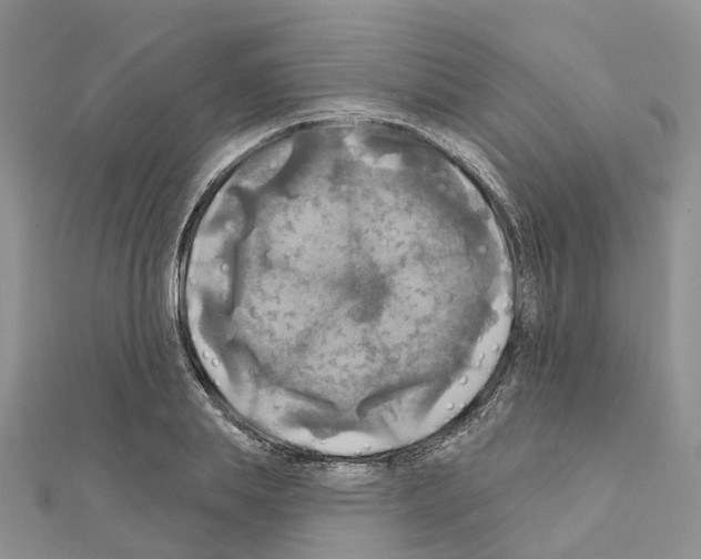 X0000111240839200908131143