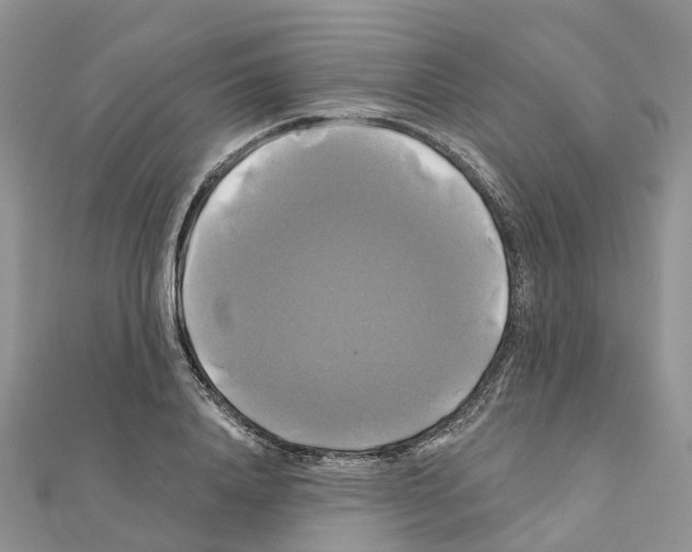 X0000111240840200908131143