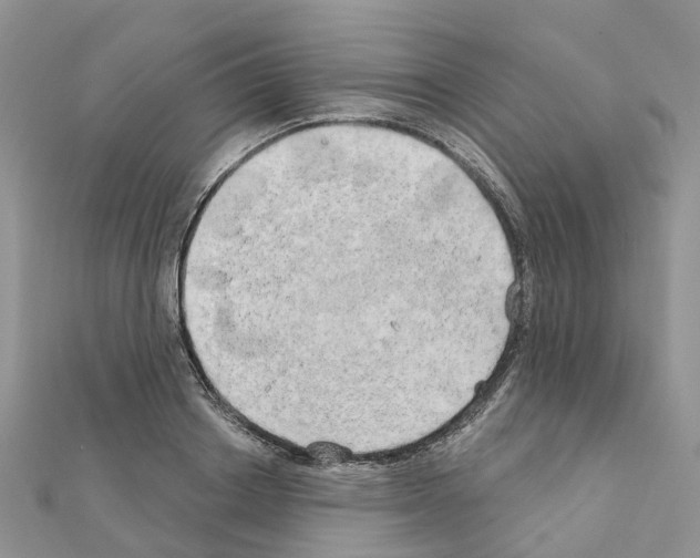 X0000111240842200908131143