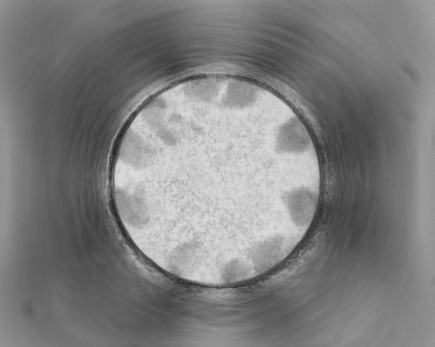 X0000111240845200908131143