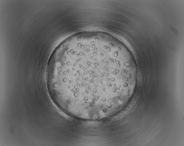 X0000111240847200908131143