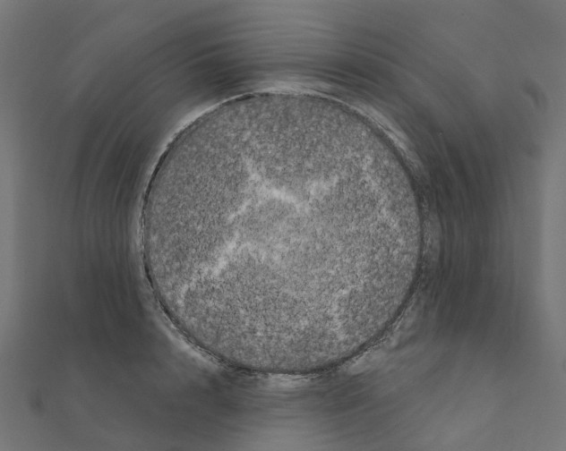 X0000111240848200908131143
