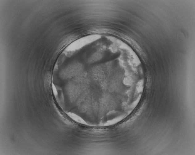 X0000111240849200908131143