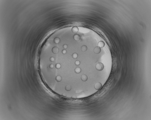 X0000111240851200908131143