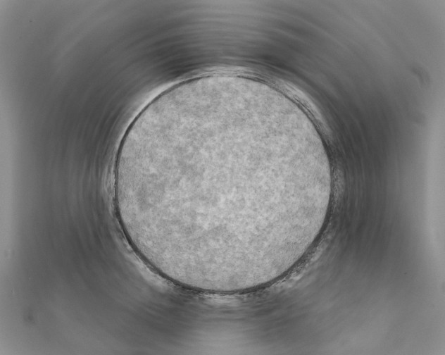 X0000111240852200908131143