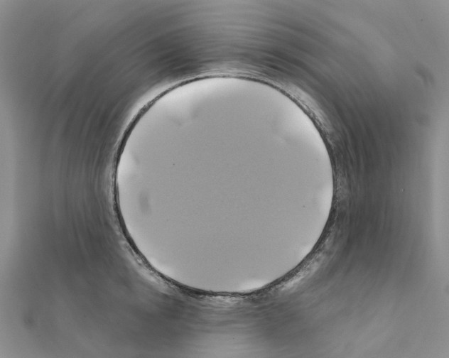 X0000111240854200908131143