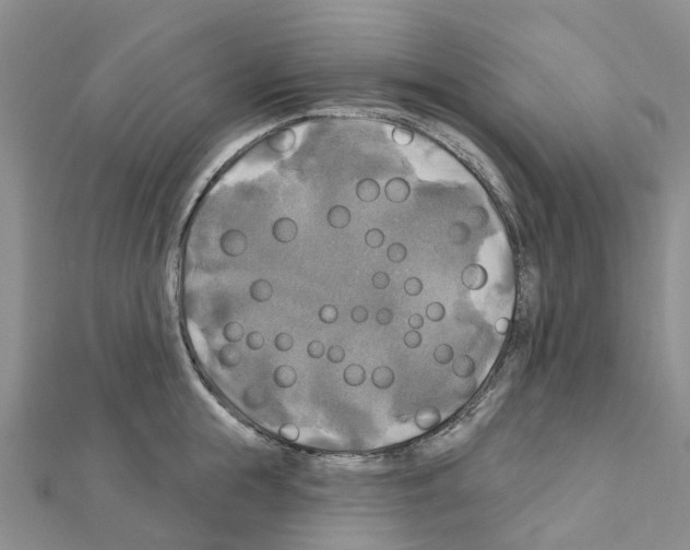 X0000111240855200908131143