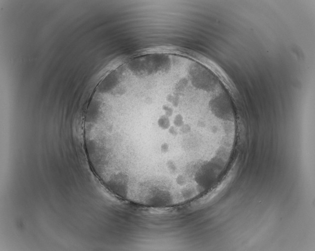 X0000111240857200908131143