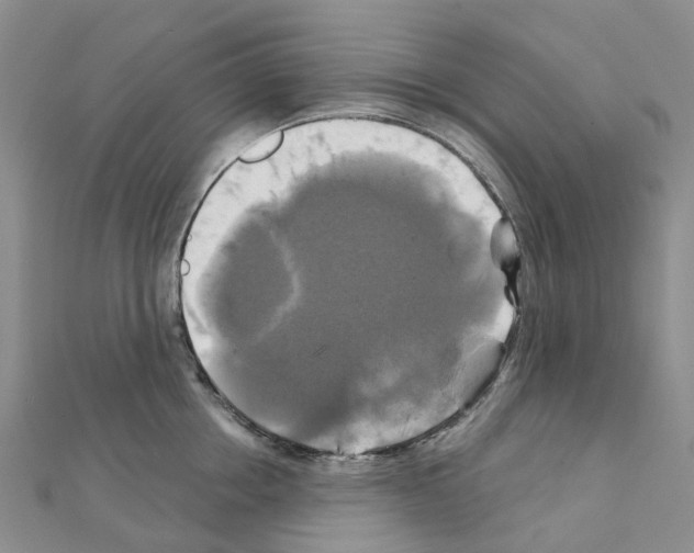 X0000111240858200908131143