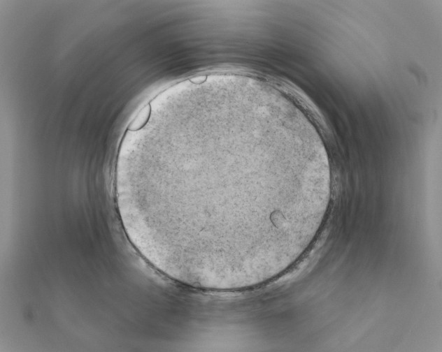 X0000111240860200908131143