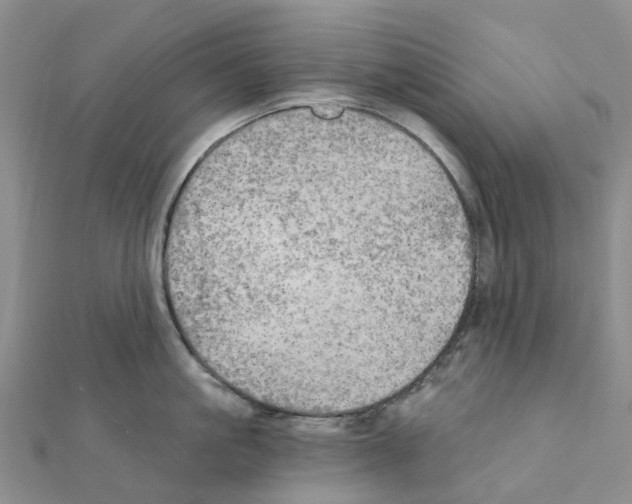 X0000111240861200908131143