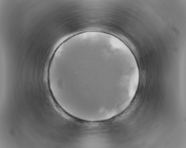 X0000111240862200908131143