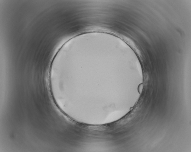X0000111240863200908131143