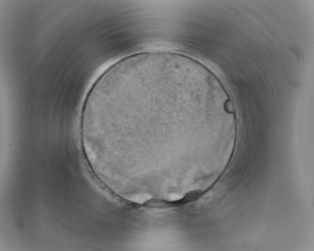 X0000111240864200908131143